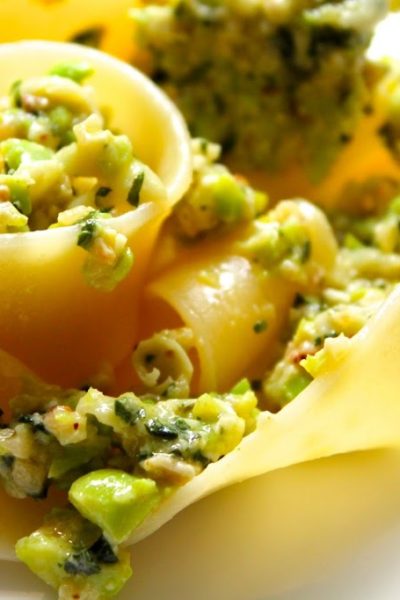 broad bean (fava bean) pesto