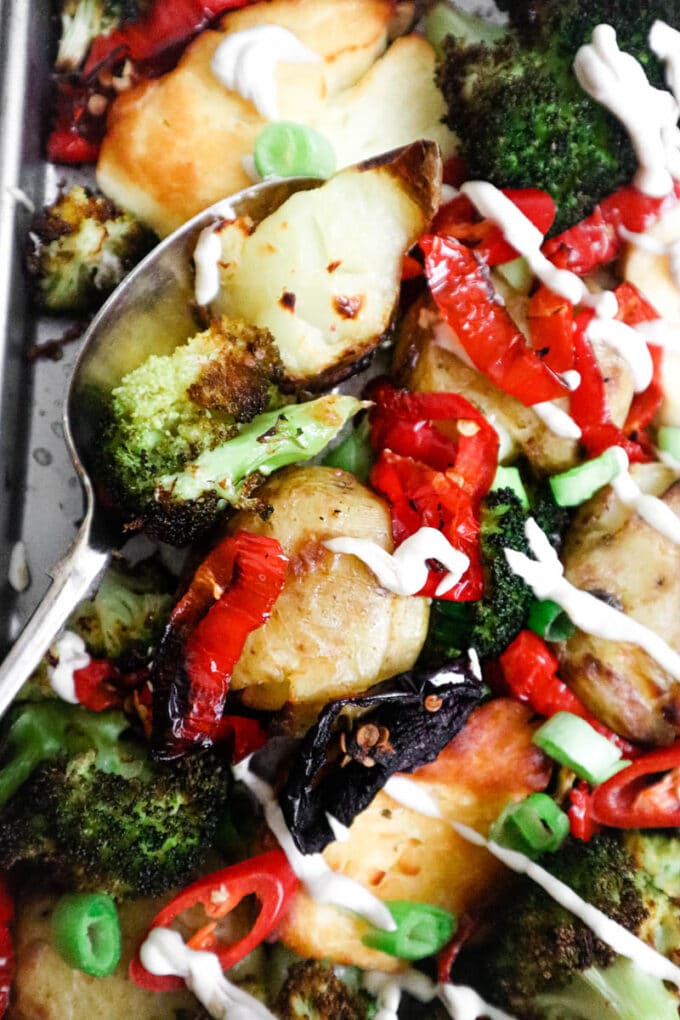 Close up of roasted halloumi, potatoes and broccoli being served.