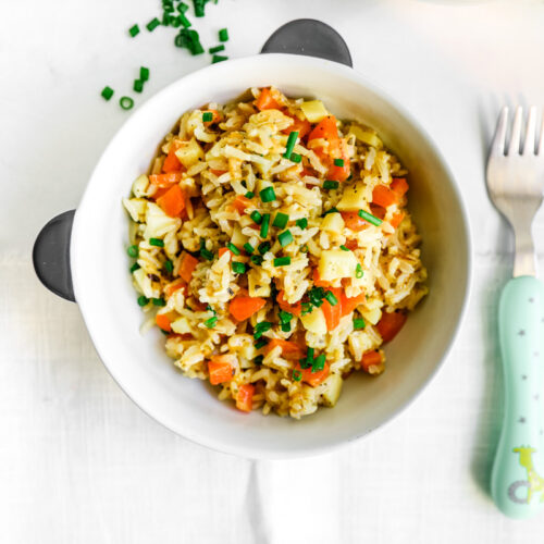 Cheesy Vegetable and Brown Rice Pot for Babies Happy Veggie Kitchen
