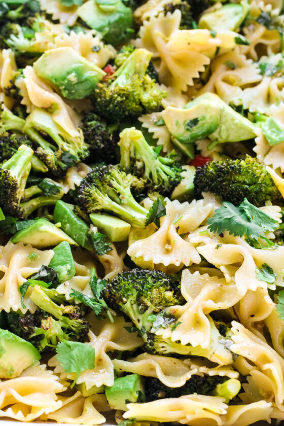 Roasted Broccoli Avocado Pasta Happy Veggie Kitchen